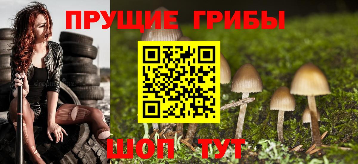 Новокубанск  Галлюциногенные грибы ЛСД  Псилоцибиновые грибы прущие грибы  Вход с VPN 