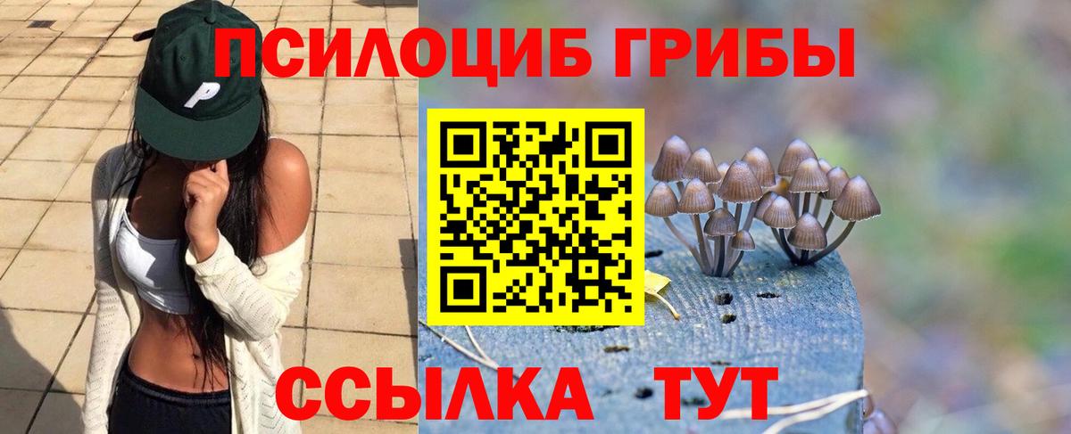Галлюциногенные грибы MAGIC MUSHROOMS Новокубанск