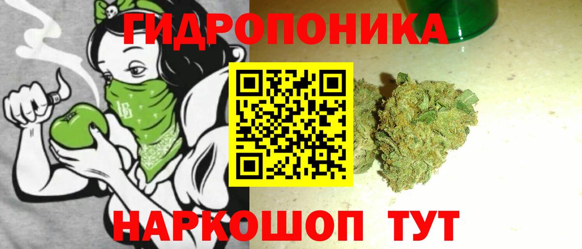 Шишки марихуана SATIVA & INDICA Новокубанск